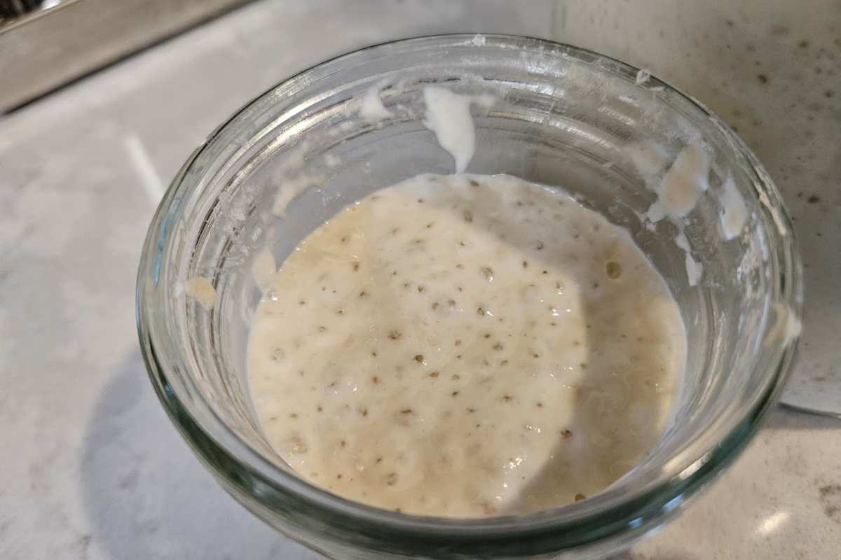 picture of a sourdough starter named Edna