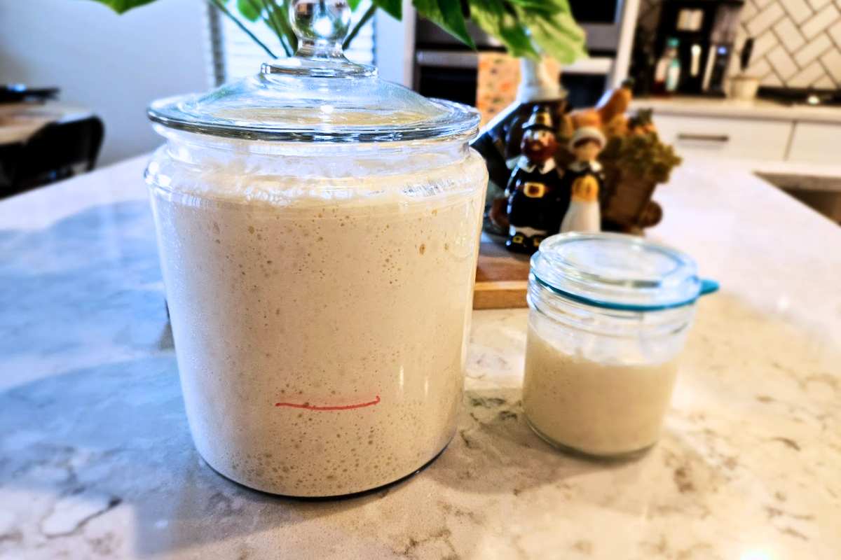 A small jar of bubbly sourdough starter alongside a larger jar of freshly mixed levain, showcasing the process of creating levain from a sourdough starter for baking.