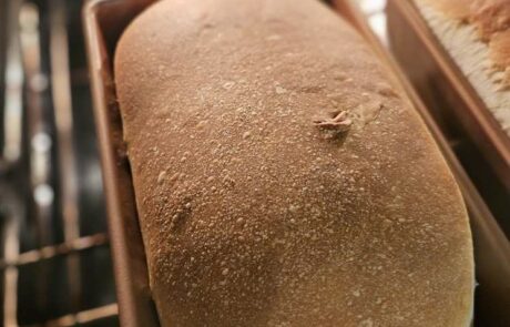 photo of soft sourdough sandwich bread baking in the oven