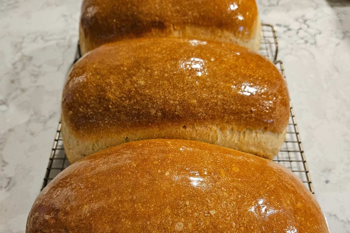 photo of 3 loaves of Honey Butter Sourdough Sandwich Bread and the recipe