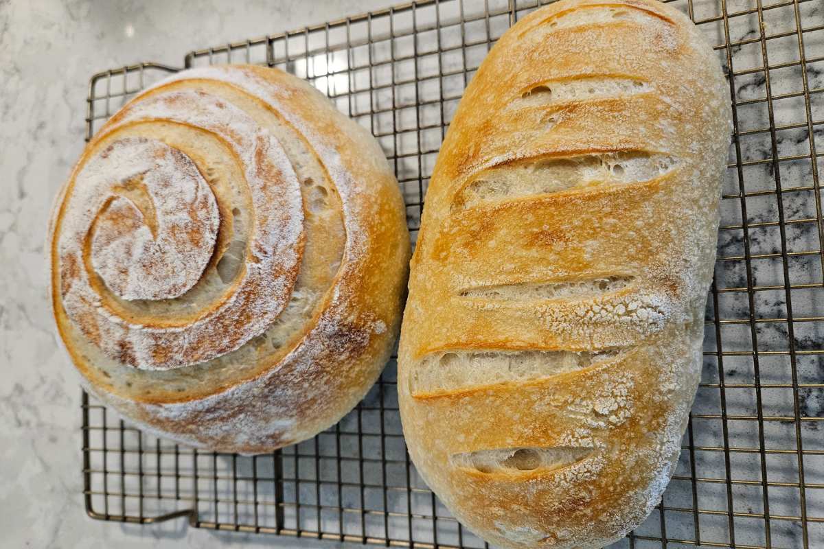 photo of two loaves of sourdough bread from Jake's Traditional Sourdough Bread Recipe.